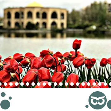 شاه-گلی-(ائل-گلی)