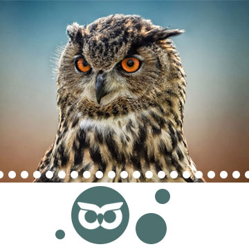 معنی-بایقوش