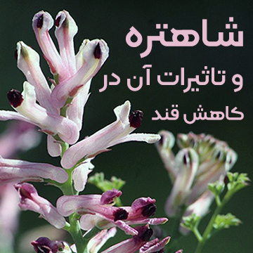 تاثیر شاهتره در کاهش قند خون