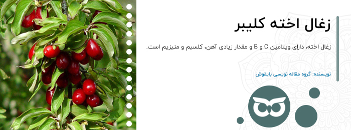 زغال-اخته-کلیبر